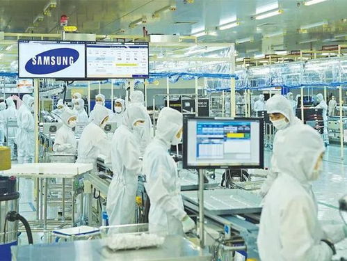疫情下的供應鏈挑戰 越南工廠封鎖工人的生活與進口水果的困境